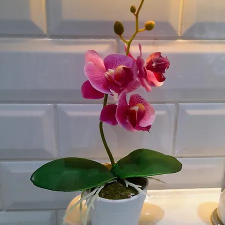 Apartman Light Blue *