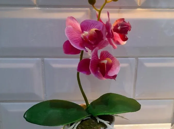 Appartamento Light Blue *